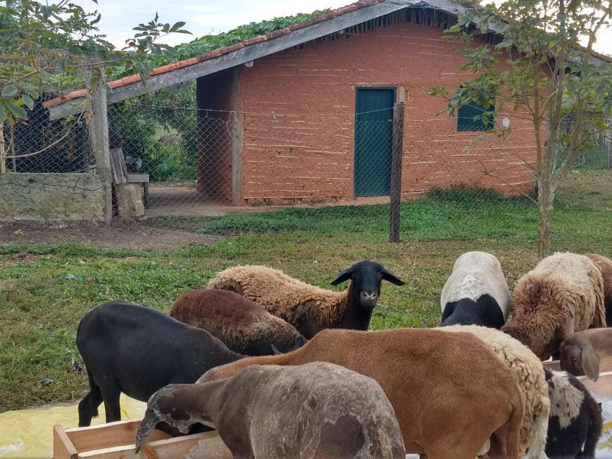 Rural Ouro Inn